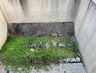 �u���O�i�j��/100����E��100����W�j