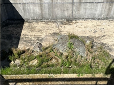 �u���O�i�j��/100����E��100����W�j