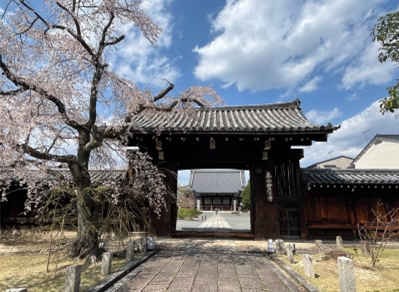 �u���O�i�j��/100����E��100����W�j