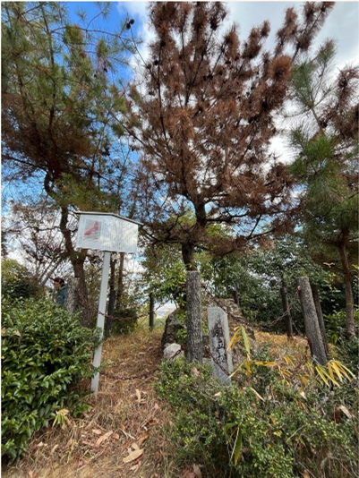 �u���O�i�j��/100����E��100����W�j