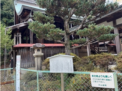 �u���O�i�j��/100����E��100����W�j