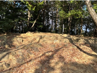 �u���O�i�j��/100����E��100����W�j