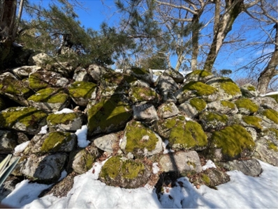 �u���O�i�j��/100����E��100����W�j