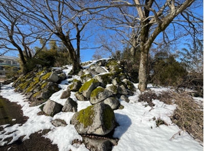 �u���O�i�j��/100����E��100����W�j