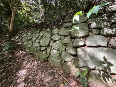 �u���O�i�j��/100����E��100����W�j