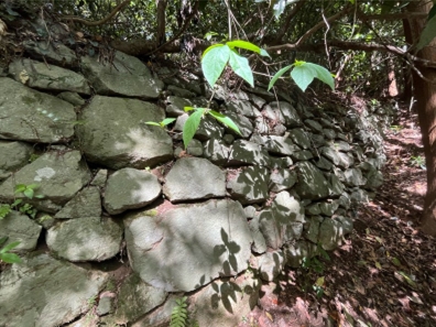 �u���O�i�j��/100����E��100����W�j