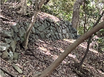 �u���O�i�j��/100����E��100����W�j