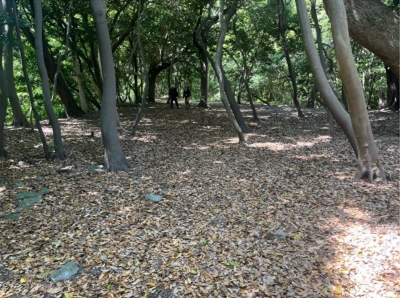 �u���O�i�j��/100����E��100����W�j