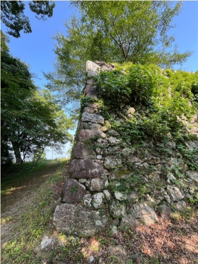 �u���O�i�j��/100����E��100����W�j