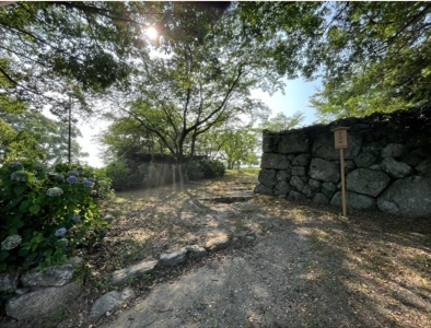 �u���O�i�j��/100����E��100����W�j