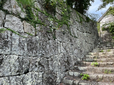 �u���O(�j��/100����E��100����X�j