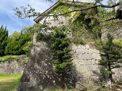 �u���O(�j��/100����E��100����X�j