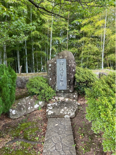 �u���O(�j��/100����E��100����X�j