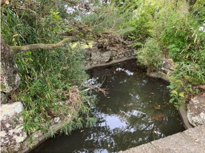 �u���O(�j��/100����E��100����X�j