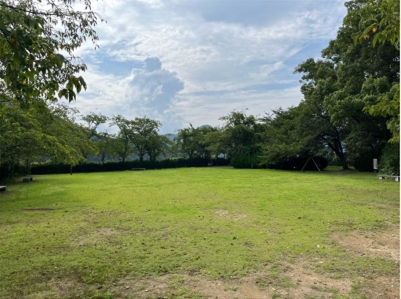 �u���O(�j��/100����E��100����X�j