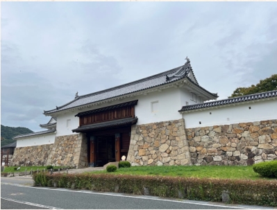 ブログ(史跡/100名城・続100名城9)