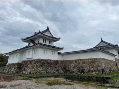 ブログ(史跡/100名城・続100名城9)