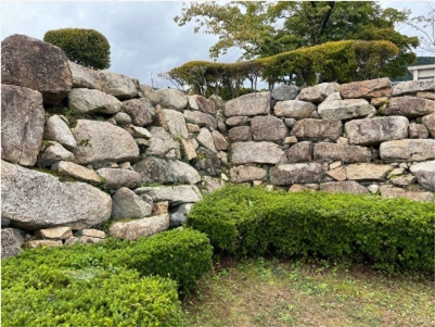 ブログ(史跡/100名城・続100名城9)