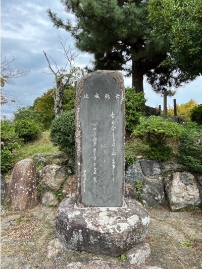 ブログ(史跡/100名城・続100名城9)