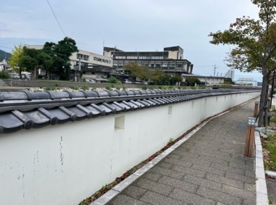 ブログ(史跡/100名城・続100名城9)